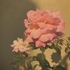 alliesclothes15 alliesclothes15